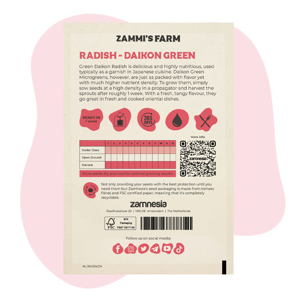 Mikroversot: retiisi – Daikon Green (Raphanus sativus) -siemenet