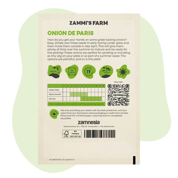Pariisin sipuli (Allium cepa) -siemenet