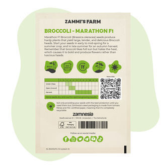 Parsakaali ‘Marathon’ F1 (Brassica oleracea) -siemenet