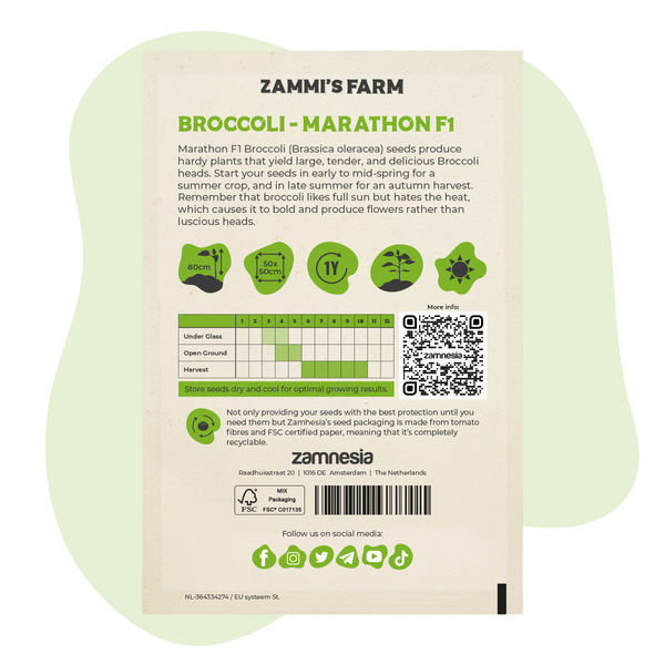 Parsakaali ‘Marathon’ F1 (Brassica oleracea) -siemenet