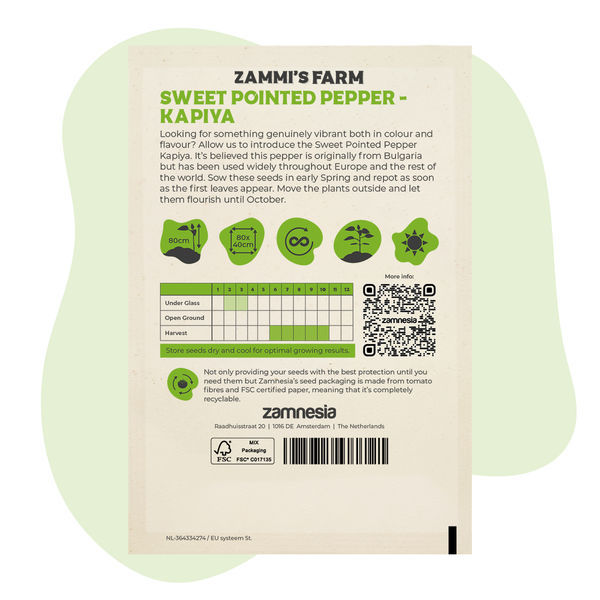 Makean suippopaprikan Kapiya (Capsicum annuum) siemenet