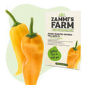 Makean suippopaprikan Palladio F1 (Capsicum annuum) siemenet