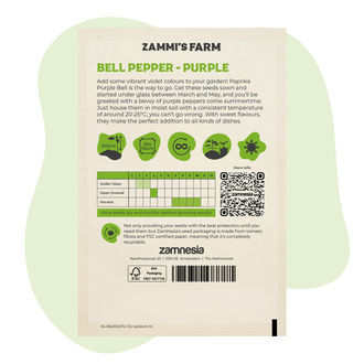 Purple Bell -paprikan (Capsicum annuum) siemenet
