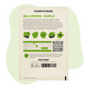 Purple Bell -paprikan (Capsicum annuum) siemenet