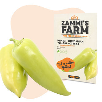 Unkarilainen keltainen Hot Wax -chilipaprika (Capsicum annuum) siemenet