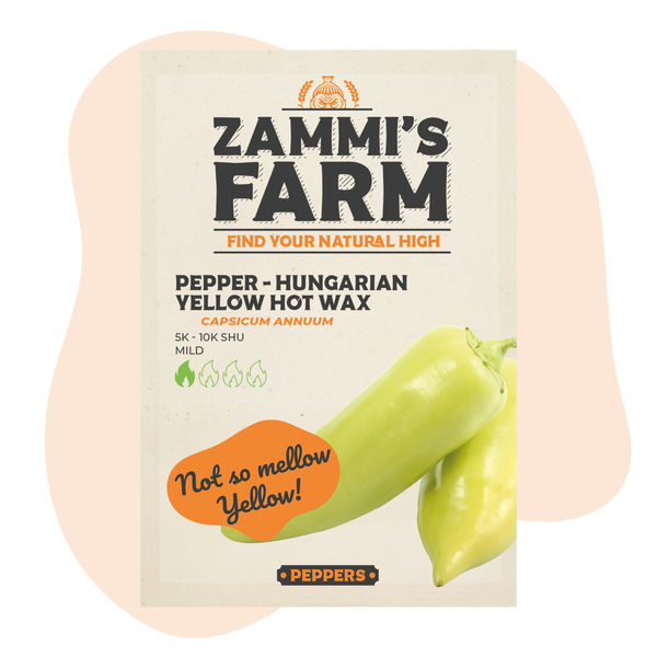 Unkarilainen keltainen Hot Wax -chilipaprika (Capsicum annuum) -siemenet