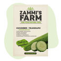 Telegraph-kurkun (Cucumis sativus) siemenet