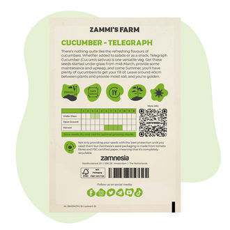 Telegraph-kurkun (Cucumis sativus) siemenet