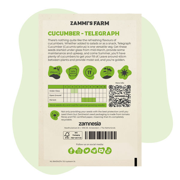 Telegraph-kurkun (Cucumis sativus) siemenet