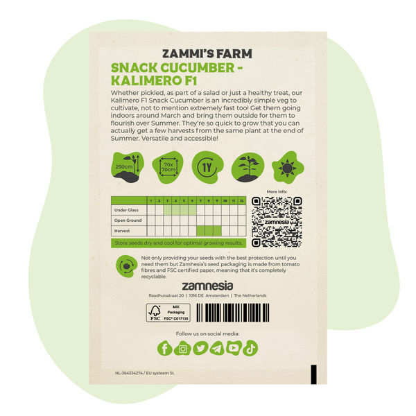 Kalimero F1 -välipalakurkku (Cucumis sativus) siemenet