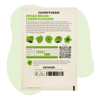 Härkäpavun Leidse Hangers -siemenet (Vicia faba)