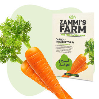 Porkkana &ndash; Interceptor F1 (Daucus carota) -siemenet