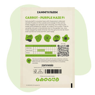 Purple Haze F1 -porkkanan (Daucus carota L.) siemenet