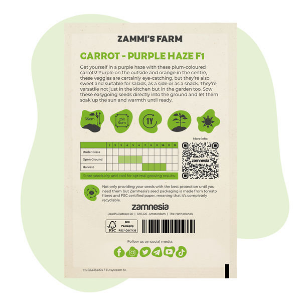 Purple Haze F1 -porkkanan (Daucus carota L.) siemenet