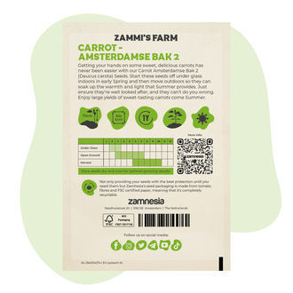 Porkkana Amsterdamse Bak 2 (Daucus carota) -siemenet