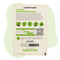 Porkkana Amsterdamse Bak 2 (Daucus carota) -siemenet