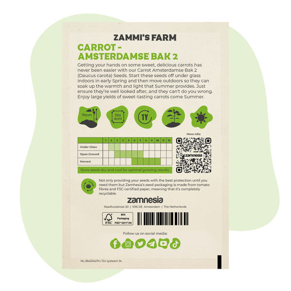 Porkkana Amsterdamse Bak 2 (Daucus carota) -siemenet