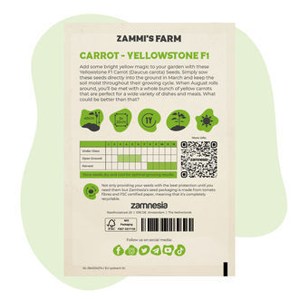 Yellowstone F1 -porkkanan (Daucus carota) siemenet