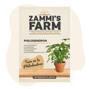 Philodendron (Philodendron selloum) -siemenet