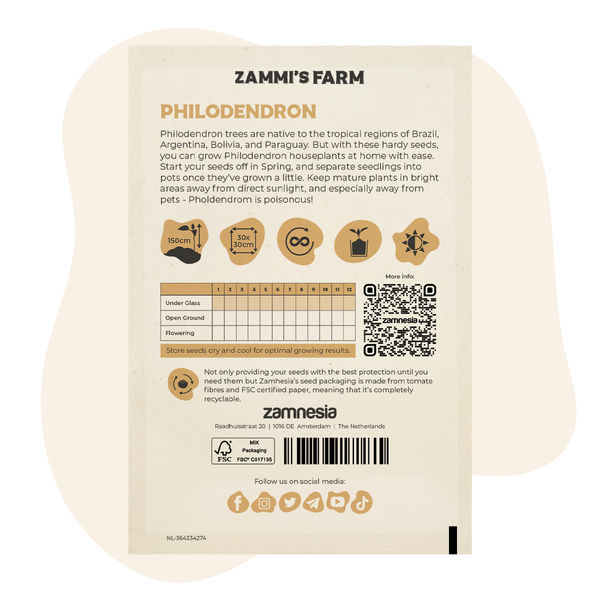 Philodendron (Philodendron selloum) -siemenet