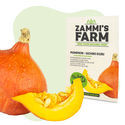 Uchiki Kuri -kurpitsa (Cucurbita maxima) -siemenet