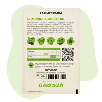 Uchiki Kuri -kurpitsa (Cucurbita maxima) -siemenet