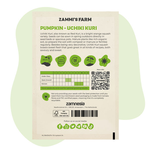 Uchiki Kuri -kurpitsa (Cucurbita maxima) -siemenet