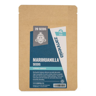 Marihuanilla (Leonurus sibiricus) -siemenet