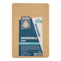 Marihuanilla (Leonurus sibiricus) -siemenet