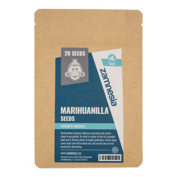 Marihuanilla (Leonurus sibiricus) -siemenet