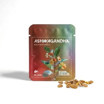 Ashwagandha (Withania somnifera) 20 siement&auml;