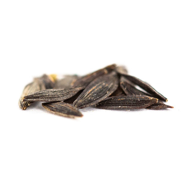 Myrkkysalaatti (Lactuca virosa) 20 siementä