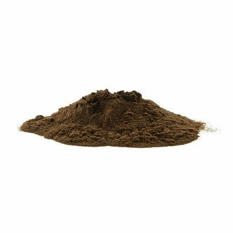 Luomu chaga-uute (Inonotus obliquus)