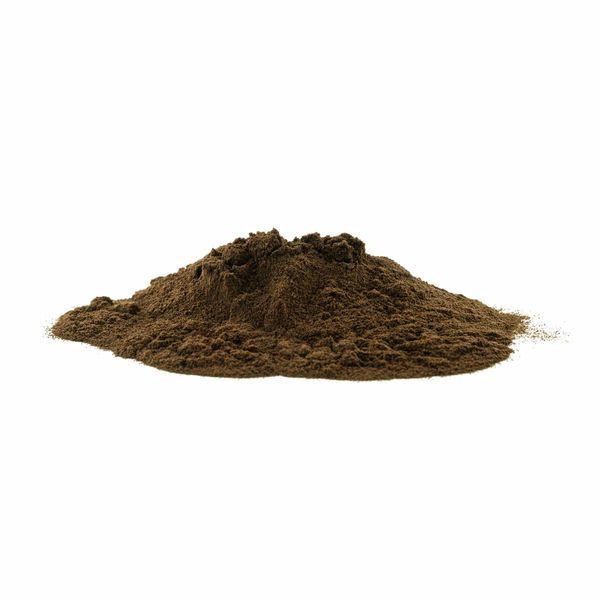 Chaga (Inonotus obliquus) luomu-uute