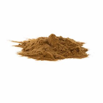 Reishi (Ganoderma lucidum) -uute