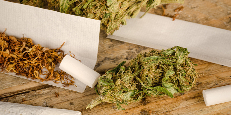Tupakka voimistaa kannabiksen vaikutuksia Tupakka voimistaa kannabiksen vaikutuksia