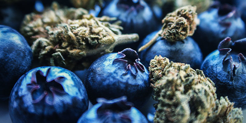 Blueberry: maku & vaikutukset