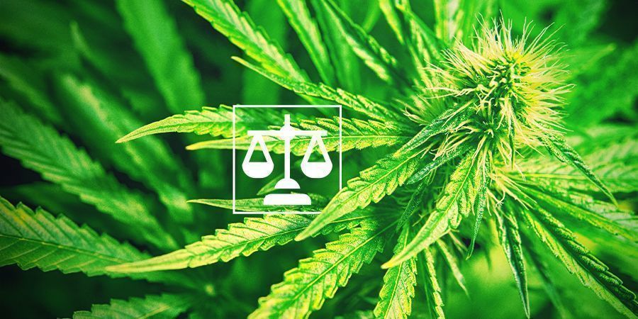 Kannabiksen laillisuus Legality Cannabis