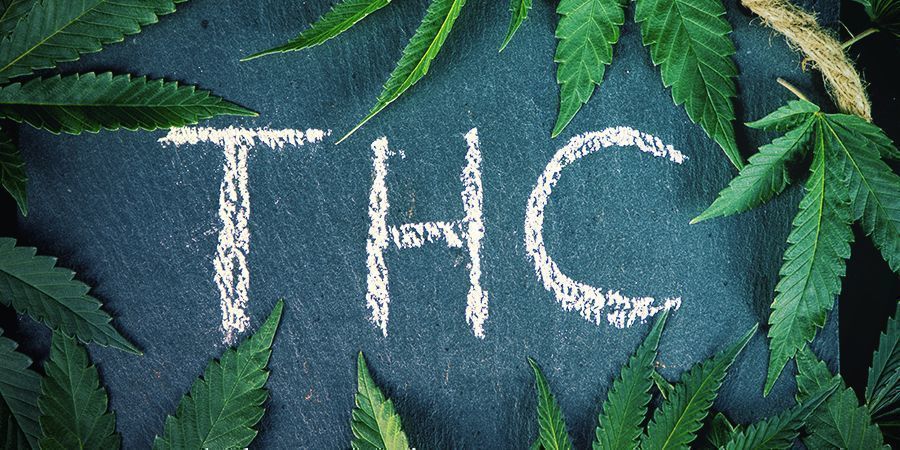 Mitä eroa on hampulla ja kannabiksella? Mitä eroa on hampulla ja kannabiksella?