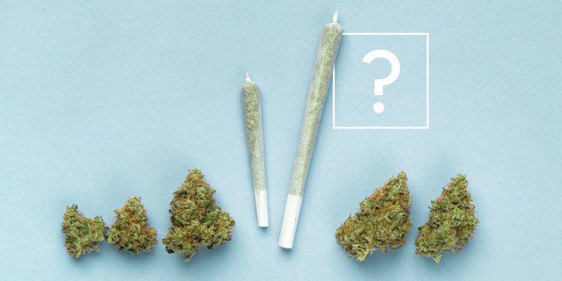 Kuinka monta jointtia saat käärittyä grammasta kannabista? Kuinka monta jointtia saat käärittyä grammasta kannabista?