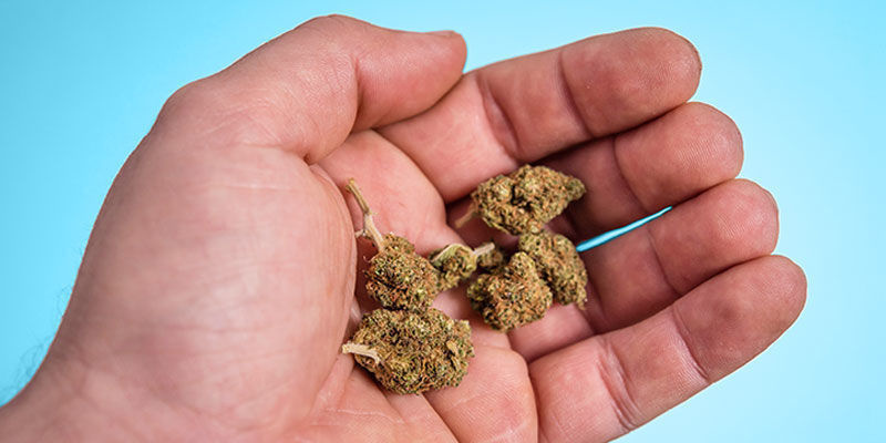 Scientists selittävät, kuinka paljon kannabista on keskimääräisessä jointissa Scientists Explain How Much Weed Is In The Average Joint