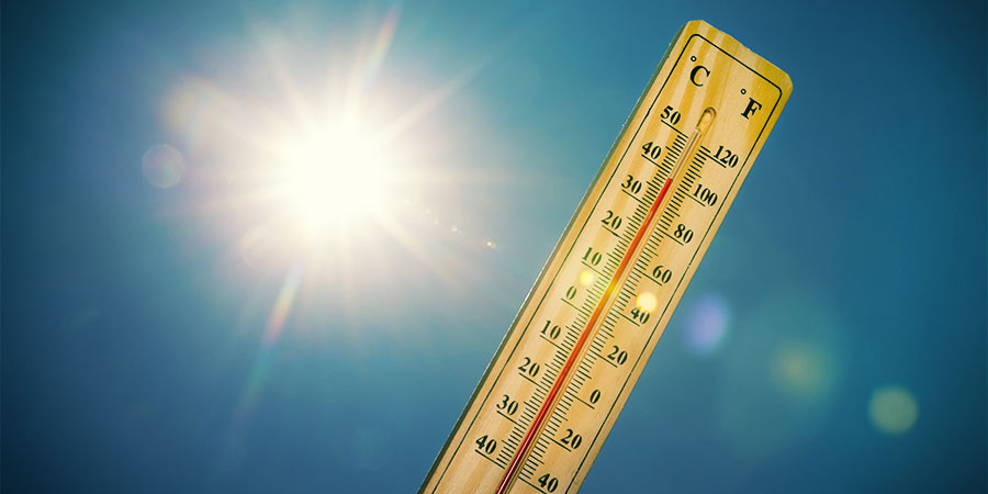 Kannabiksen korkeat lämpötilat cannabis high temperatures