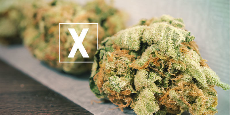 Onko Skunk-kannabis huonoa? Onko Skunk-kannabis huonoa?