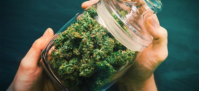 Jauha kannabista: ravista