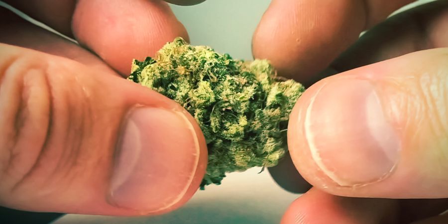 Tuntuma: tahmea ja tervaista Touch: Sticky Icky