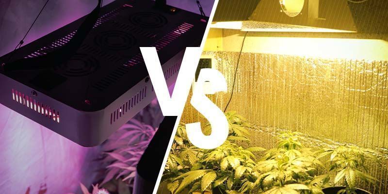Ovatko LED-kasvatusvalot yhtä hyviä kuin HPS? Ovatko LED-kasvatusvalot yhtä hyviä kuin HPS?