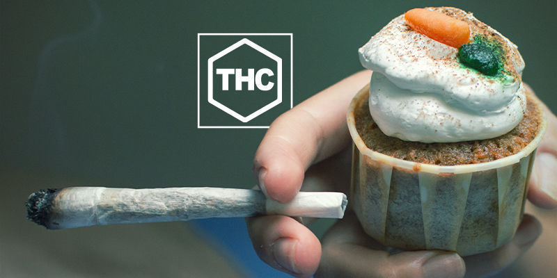 THC & greliinin tuotanto THC & greliinin tuotanto