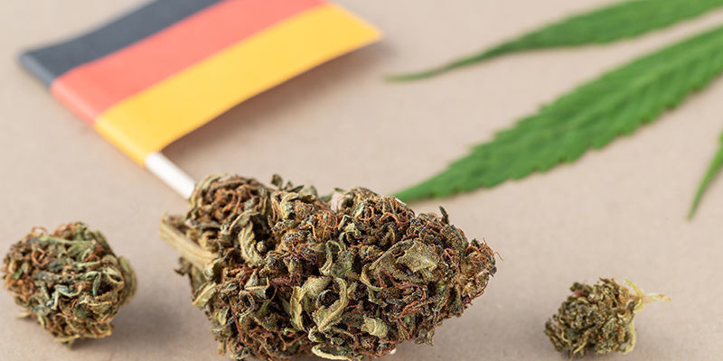 Kritiikkiä Saksan uusista kannabislakimuutoksista Kritiikkiä Saksan uusista kannabislakimuutoksista