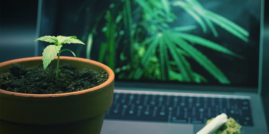 Mitkä ovat parhaat sivustot pilvessä oleville? Mitkä ovat parhaat sivustot pilvessä oleville?