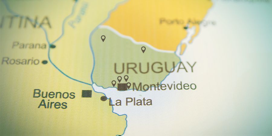 Uruguayssa on alle 20 laillistettua apteekkia, joilla on lupa myydä kannabista Alle 20 laillistettua apteekkia Uruguayssa saa myydä kannabista